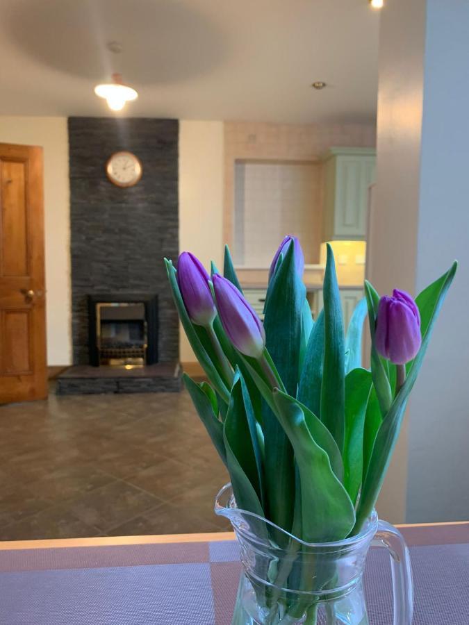 Ringfort Manor Rathfriland المظهر الخارجي الصورة